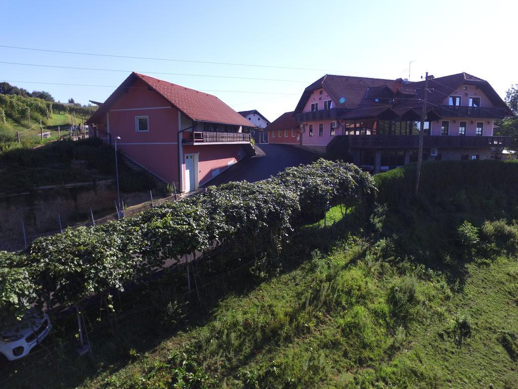 Guesthouse Kaucic Benedikt v Slovenskih Goricah 外观 照片