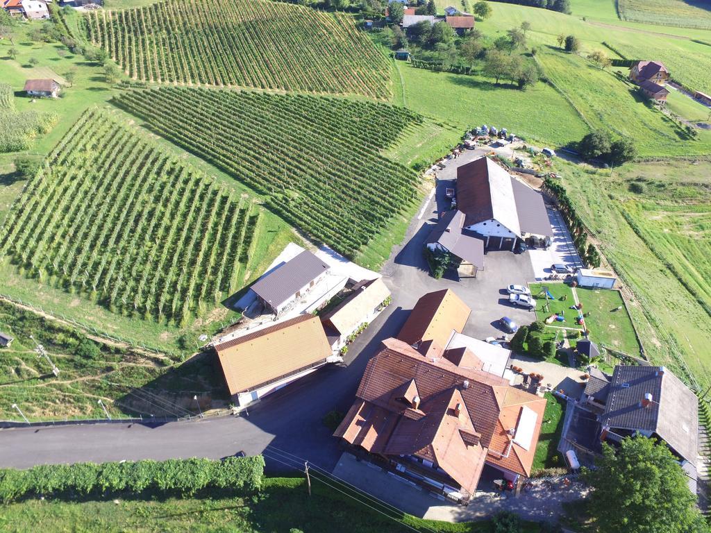 Guesthouse Kaucic Benedikt v Slovenskih Goricah 外观 照片