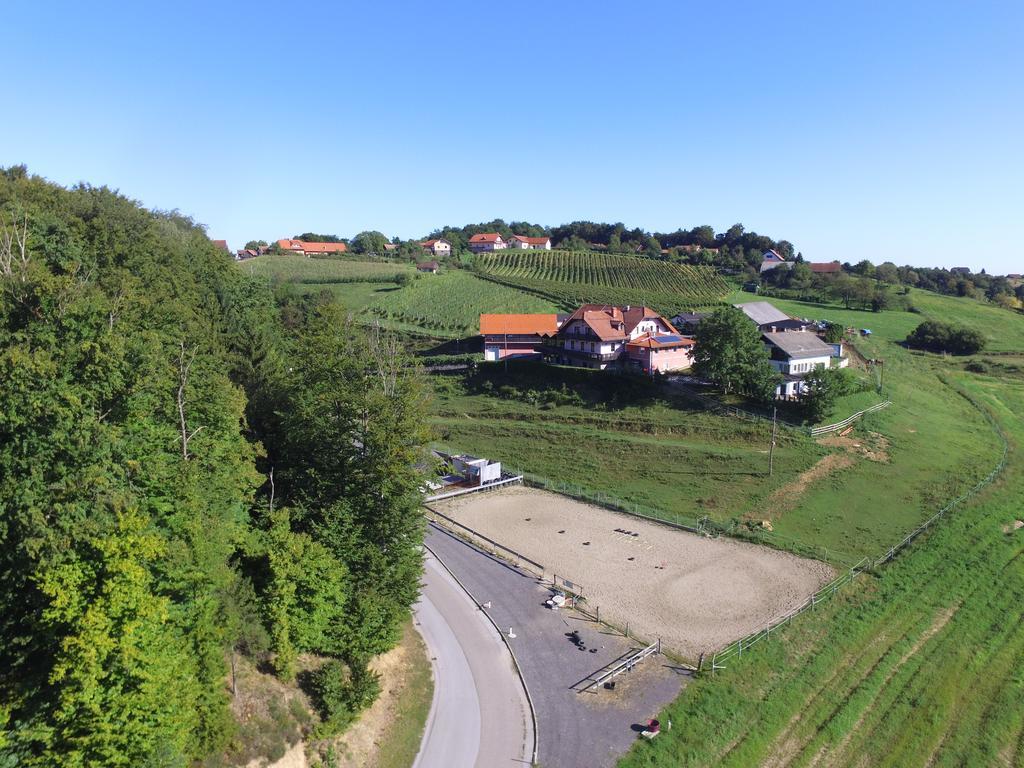 Guesthouse Kaucic Benedikt v Slovenskih Goricah 外观 照片